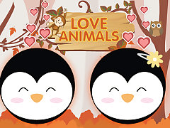 Love Animals