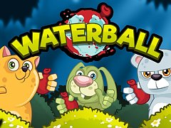 Waterball