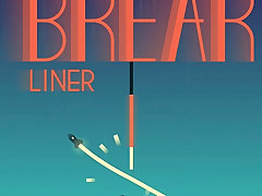 Break Liner
