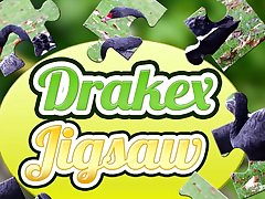 Drake Jigsaw