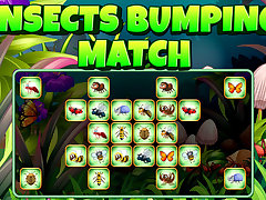 Insects Bumping Match