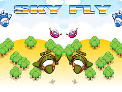 Sky Fly