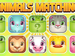 Animals Memory Matching