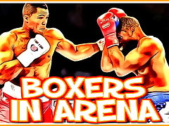Boxers in Arena