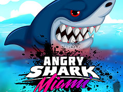 Angry Shark Miami