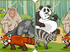 Wildlife Safari Five Diffs