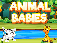 Animal Babies