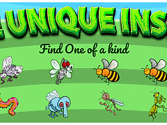 The Unique Insect