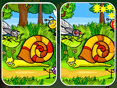 Insects Photo Differences