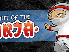 Flight Of The Ninja