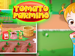 Baby Hazel Tomato Farming