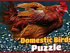Domestic Birds Puzzle