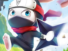 Ninja Rabbit