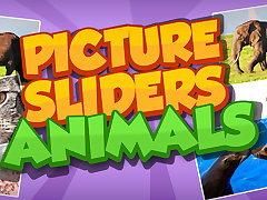 Picture Slider Animals