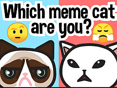Which meme cat are you?