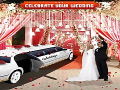 Luxury Wedding Limousin Car Game 3D