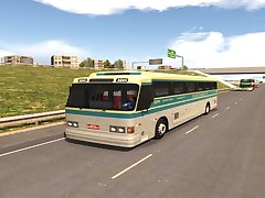 US Bus Transport Service 2020