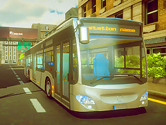 Town Bus Driver