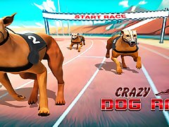 Crazy Dog Racing Fever : Dog Race Game 3D