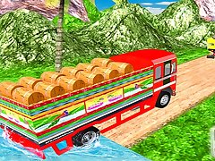 Real Indian Truck Cargo Truck Transport