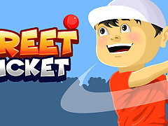 Street Cricket