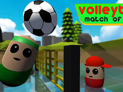 Volleyball Match Of Pills