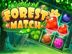 Forest Match