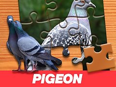 Pigeon Jigsaw Puzzle