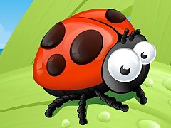 Ladybug Slide